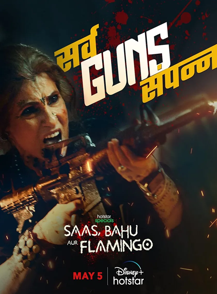 Saas Bahu Aur Flamingo S1 (2023) Hindi Completed Web Series HEVC ESub