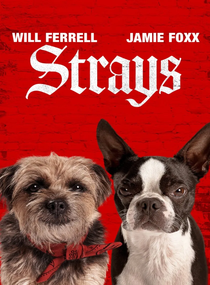 Strays (2023) (Hindi + English) Dual Audio Hollywood Movie BluRay HD ESub