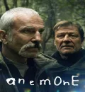 Anemone (2025) (Hindi + English) Dual Audio Hollywood Movie BluRay HD ESub