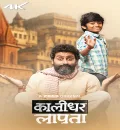 Kaalidhar Laapata (2025) Bollywood Hindi Movie HD ESub