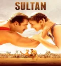 Sultan (2016) Bollywood Hindi Movie BluRay HD ESub